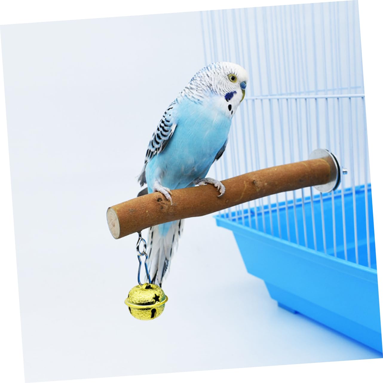 Amazon | 鳥用止まり木スタンド 木製 15CM 指定不可形状 ベル付き